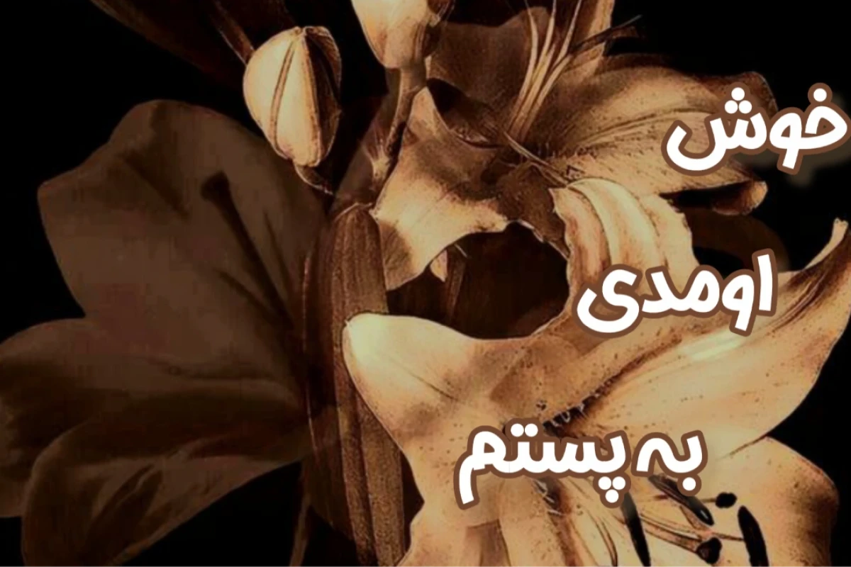 کاربر های تستچی اگر کاراکتر انیمه بودند؟!