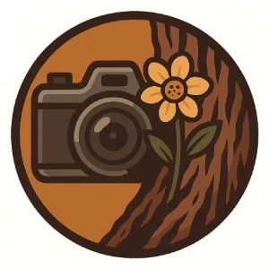 تصویر دستاورد